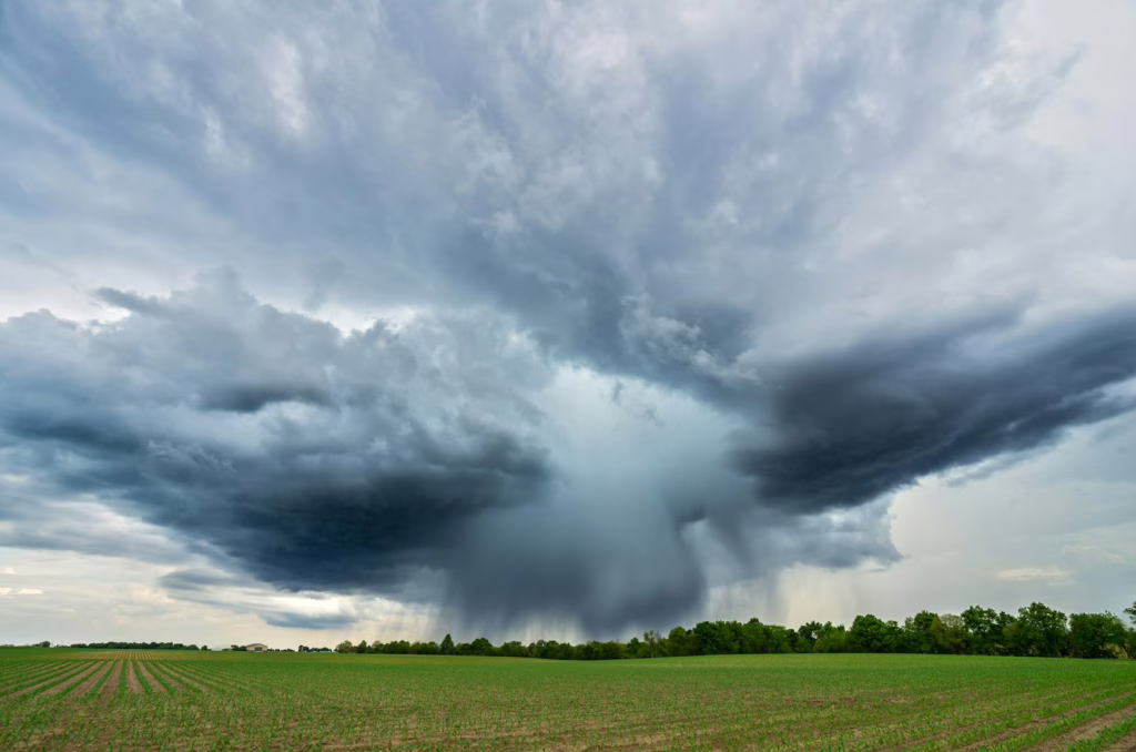 El fenómeno de El Niño podría generar impactos climáticos extremos a nivel global
